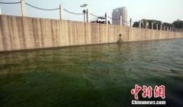 太原汾河最新爆料,绿色生态画卷徐徐展开