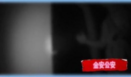 最新跟踪爆料视频大全集,视频大全集深度解析