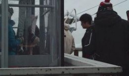 暴雪最新爆料视频下载,游戏新篇章即将开启