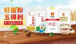 五得利面粉爆料视频最新,揭秘面粉行业背后的秘密与真相