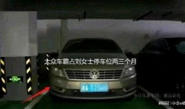 湖南车主爆料最新消息,揭秘汽车行业惊人内幕！