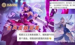 王昭君皮肤爆料最新版,冰封幻境，绝美演绎
