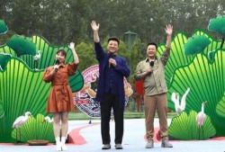 桑植新闻爆料最新视频播放,精彩瞬间回顾