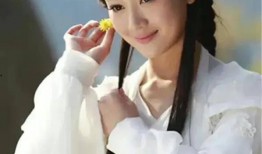 娱乐爆料张檬视频大全最新,娱乐圈风云再起，真相揭秘