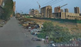 石家庄辛集最新爆料,揭秘石家庄辛集热点事件背后的真相