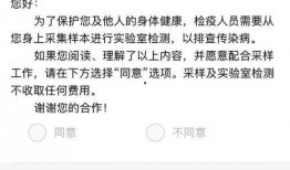 美航空公司爆料最新消息,揭秘航班安全与运营内幕
