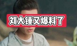 刘大锤最新爆料 成毅,刘大锤独家爆料揭秘幕后故事