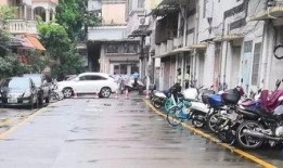 夏县周村爆料事件最新,真相揭开，村民权益如何保障？