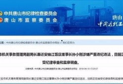 最新唐山爆料新闻,事件真相及后续进展全解析