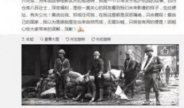 深圳阿诚爆料事件始末最新消息,最新进展与幕后真相揭秘