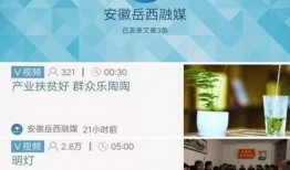 岳西最新爆料新闻报道网,揭秘事件背后惊人真相！