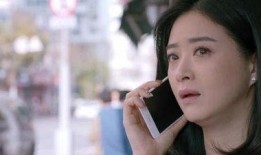 樊胜美事件最新爆料,最新爆料揭露惊人内幕