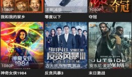 影豹爆料视频大全最新版,揭秘性能与设计亮点