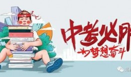 白鹿助力爆料最新消息,最新热点事件深度解析