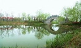 济宁北湖爆料案件最新,惊现悬疑命案，真相扑朔迷离！