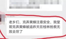 绍兴王女士最新爆料,揭秘惊人内幕！