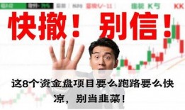 最新爆料资金盘,巨额收益背后隐藏的巨大风险