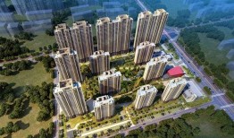 沧州新楼盘爆料事件最新