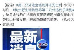 四平博达爆料事件最新,揭秘背后真相与网络舆论风暴