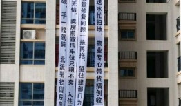 北流碧桂园爆料最新消息,揭秘项目最新进展与亮点