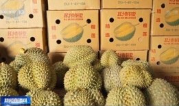 南宁水果爆料案件最新情况,真相大白，涉案人员悉数落网