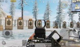 和平精英5级枪皮肤最新爆料,炫酷外观，等你来战！